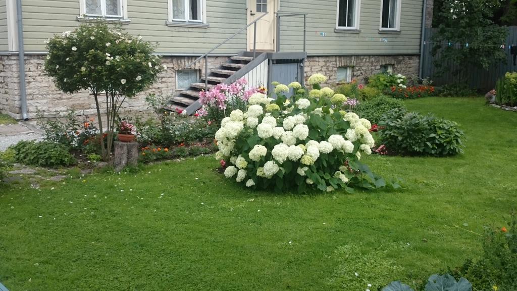 Matrix Garden Apartments Талин Стая снимка